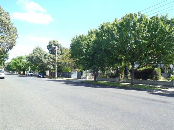 The Grove (4)