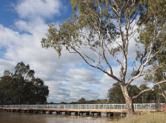 B7031 Murchison Rail Trail bridge 2010