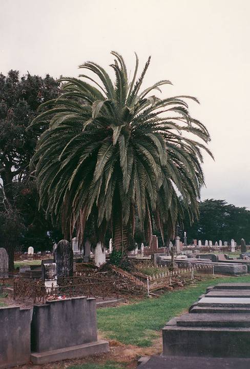 B7323 Sale Cemetery