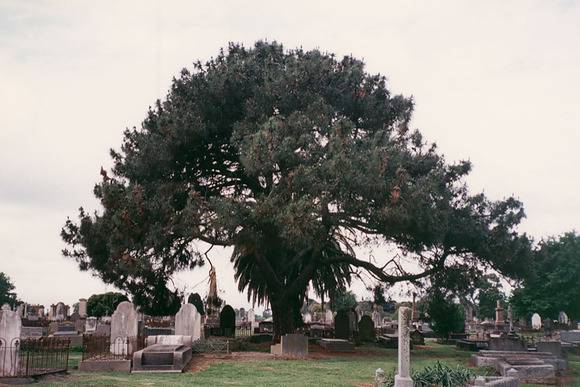 B7323 Sale Cemetery