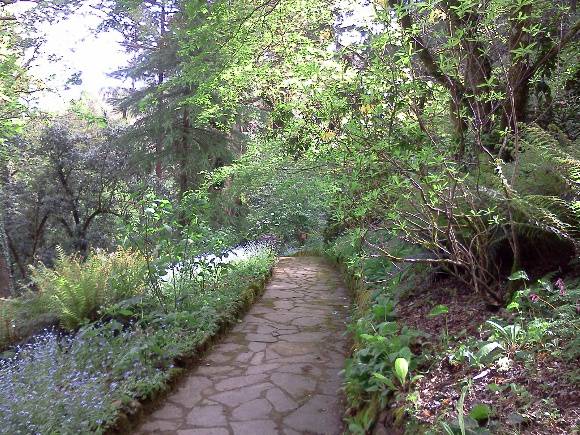 G13100 Alton Gardens