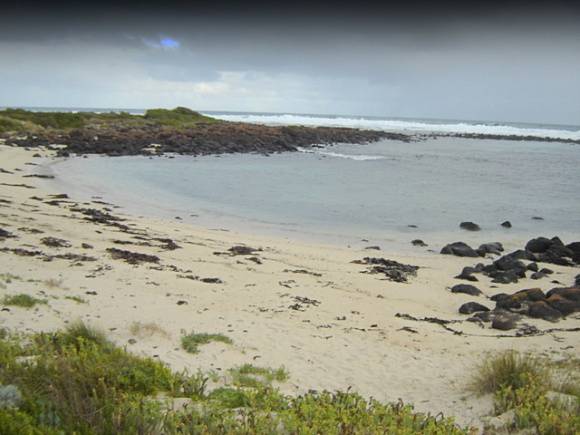 H1659 griffith island port fairy beach1