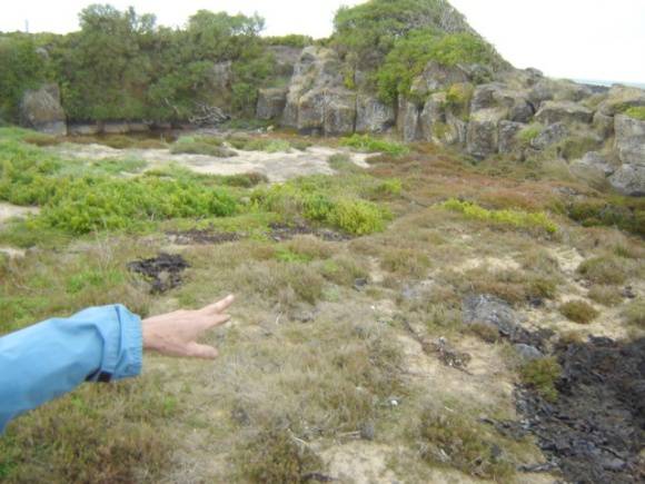 H1659 griffith island port fairy quarry1