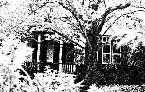 Camberwell Conservation Study 1991
