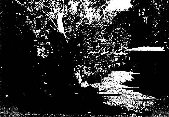 Camberwell Conservation Study 1991