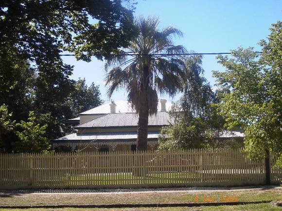 Jelly Palm, Stone Pine and Oak Trees WILLIAMSTOWN, Hobsons Bay Heritage Study 2006