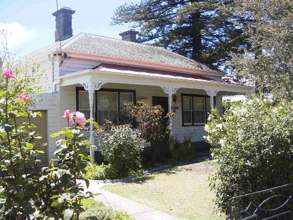 Norfolk Island Pines WILLIAMSTOWN, Hobsons Bay Heritage Study 2006