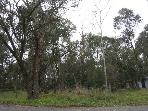 Manningham Heritage Garden & Significant Tree Study 2006