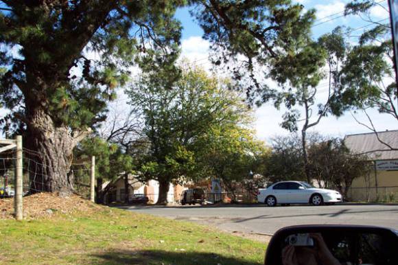 Manningham Heritage Garden & Significant Tree Study 2006