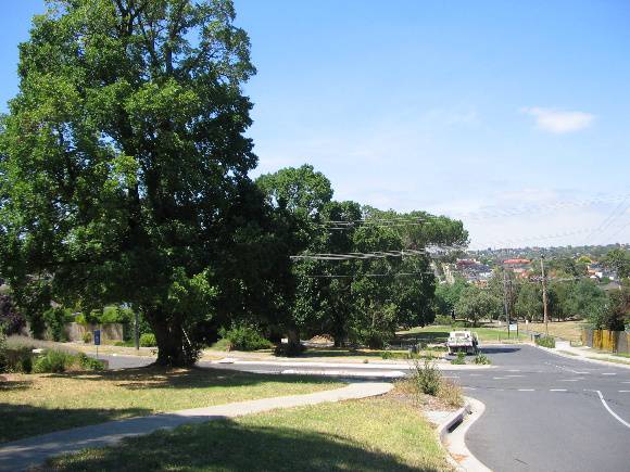 Manningham Heritage Garden & Significant Tree Study 2006
