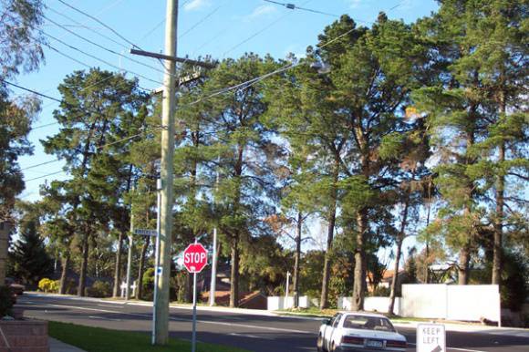 Manningham Heritage Garden & Significant Tree Study 2006