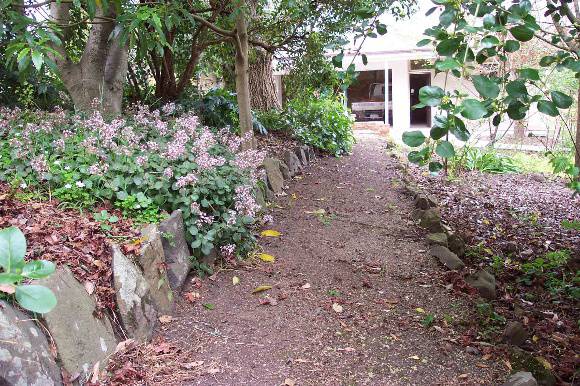 Manningham Heritage Garden & Significant Tree Study 2006