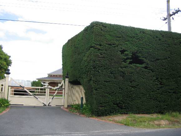 Manningham Heritage Garden & Significant Tree Study 2006