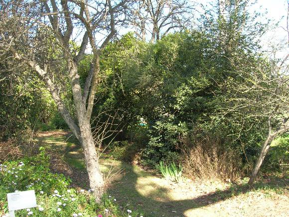 Manningham Heritage Garden & Significant Tree Study 2006