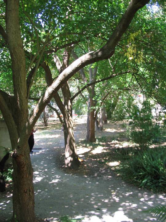 Manningham Heritage Garden & Significant Tree Study 2006