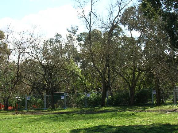 Manningham Heritage Garden & Significant Tree Study 2006