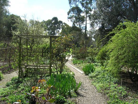Manningham Heritage Garden & Significant Tree Study 2006