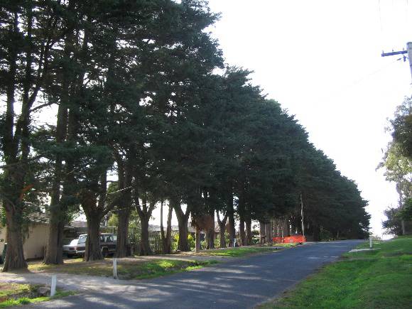 Manningham Heritage Garden & Significant Tree Study 2006