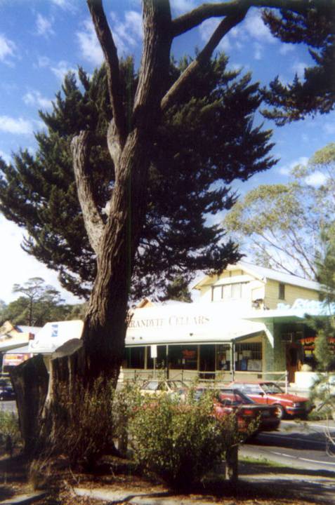 Manningham Heritage Garden & Significant Tree Study 2006