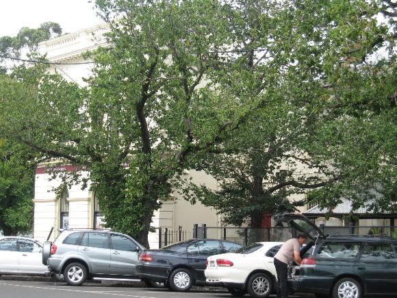 Bank of Australasia (former), Hobsons Bay Heritage Study 2006