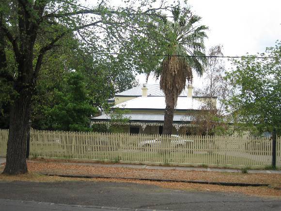 Jelly Palm, Stone Pine and Oak Trees WILLIAMSTOWN, Hobsons Bay Heritage Study 2006