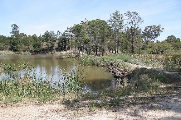 H0398 Callembeen Pk 14 Feb 07 PM2 Back Pond 1