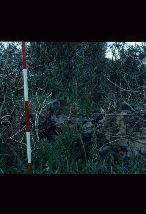 MILLBROOK HOMESTEAD RUIN