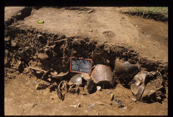 CHINESE KILN & MARKET GARDEN