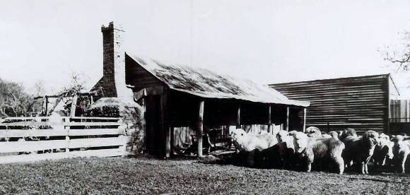 B2190 Slab Hut