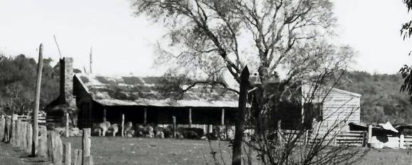 B2190 Slab Hut