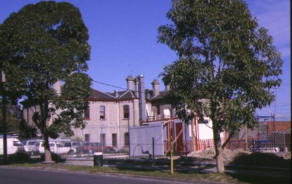 1 kawarau hawthorn rear view