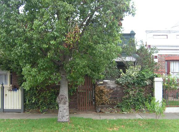 HO136 31 Bengamin St 1.JPG