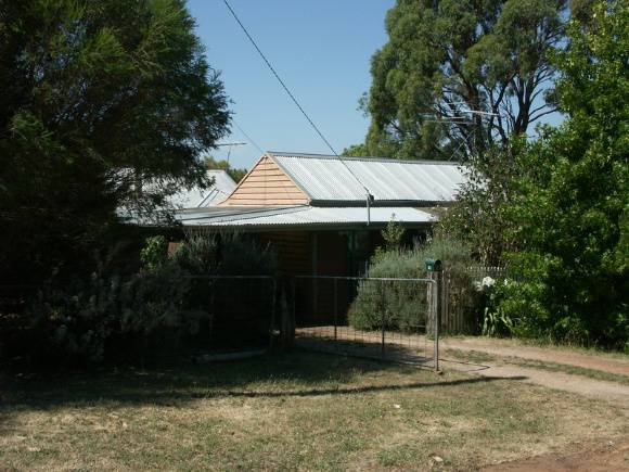 Eclipse Cottage and Barachychiton populneus (Jurrajong)