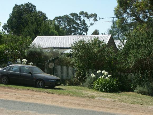 Eclipse Cottage and Barachychiton populneus (Jurrajong)