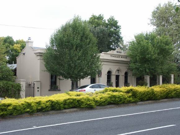 Traquair House, Holly & Golden Ash Trees (former Bank)