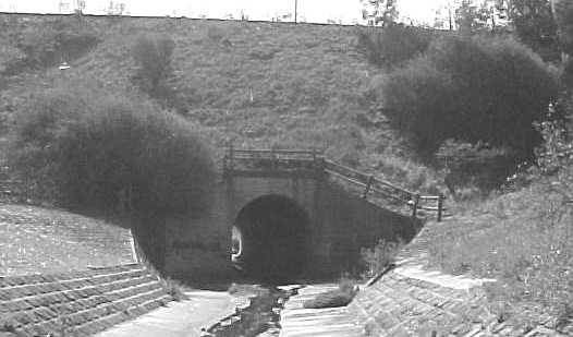 Site 019 - Steele Crk Rail embankment.jpg