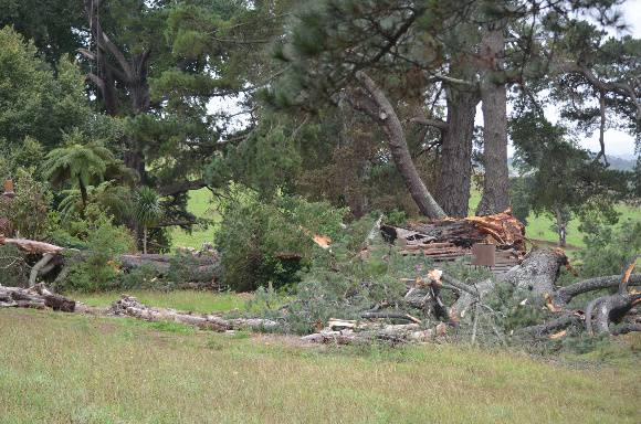 B3239 Storm Damage March 2012