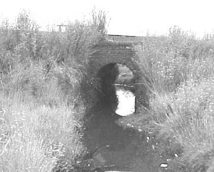 Site 028 - Railway culvet.jpg