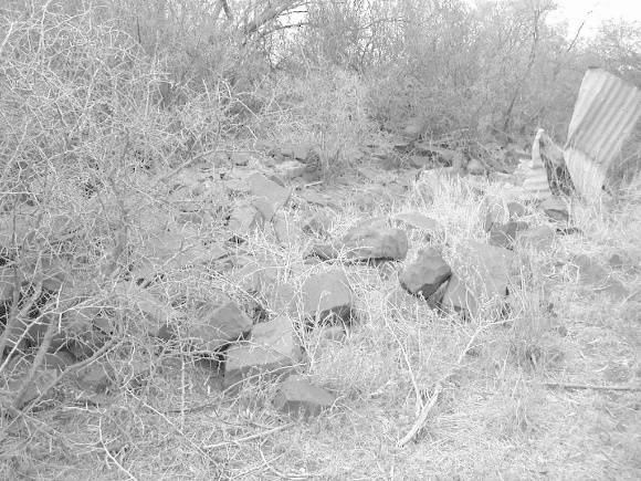 Site 035 - Dodd homestead ruins.jpg