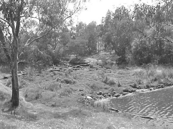 Site 073 - Canning Street ford (2).jpg