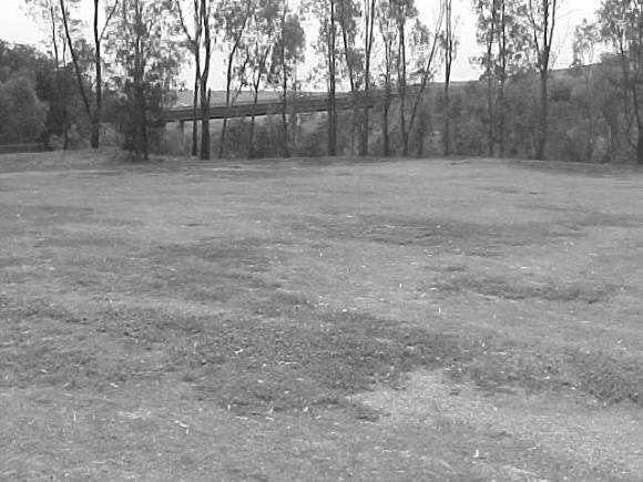 Site 128 - Chisholm shelter shed site.jpg