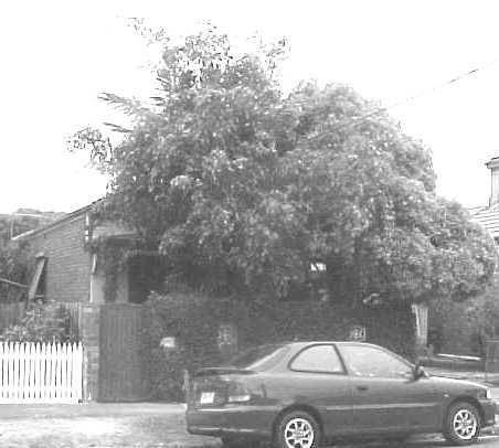 Site 133 - 25 Benjamin Street (Victoria house row).jpg