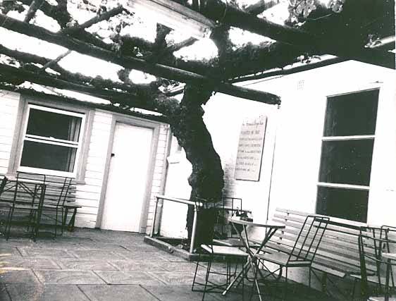 B2302 Grapevine Seating Area