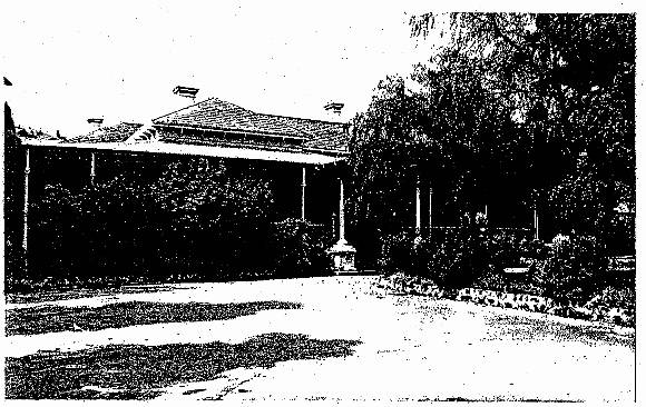 Essendon Conservation Study 1985
