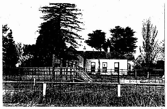 Essendon Conservation Study 1985