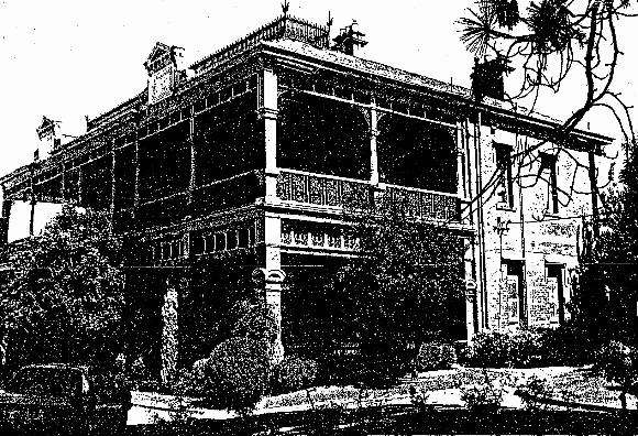 Essendon Conservation Study 1985