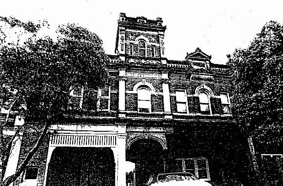 Essendon Conservation Study 1985