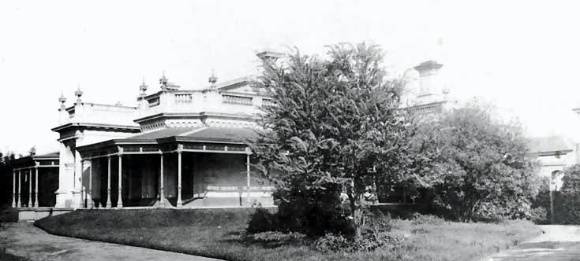 B2387 Quat Quatta Elsternwick