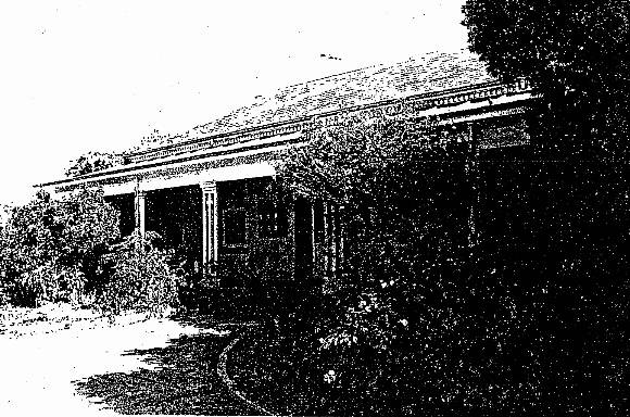 Essendon Conservation Study 1985