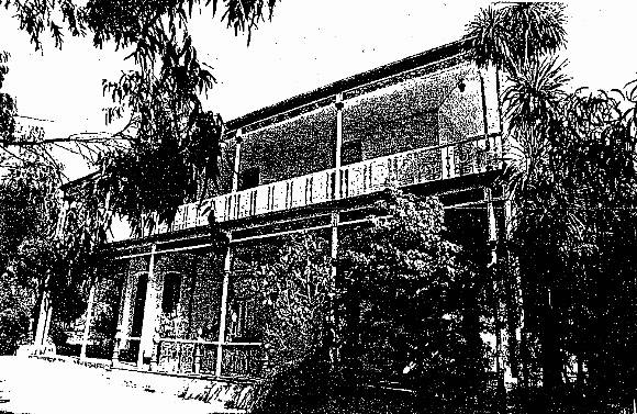 Essendon Conservation Study 1985